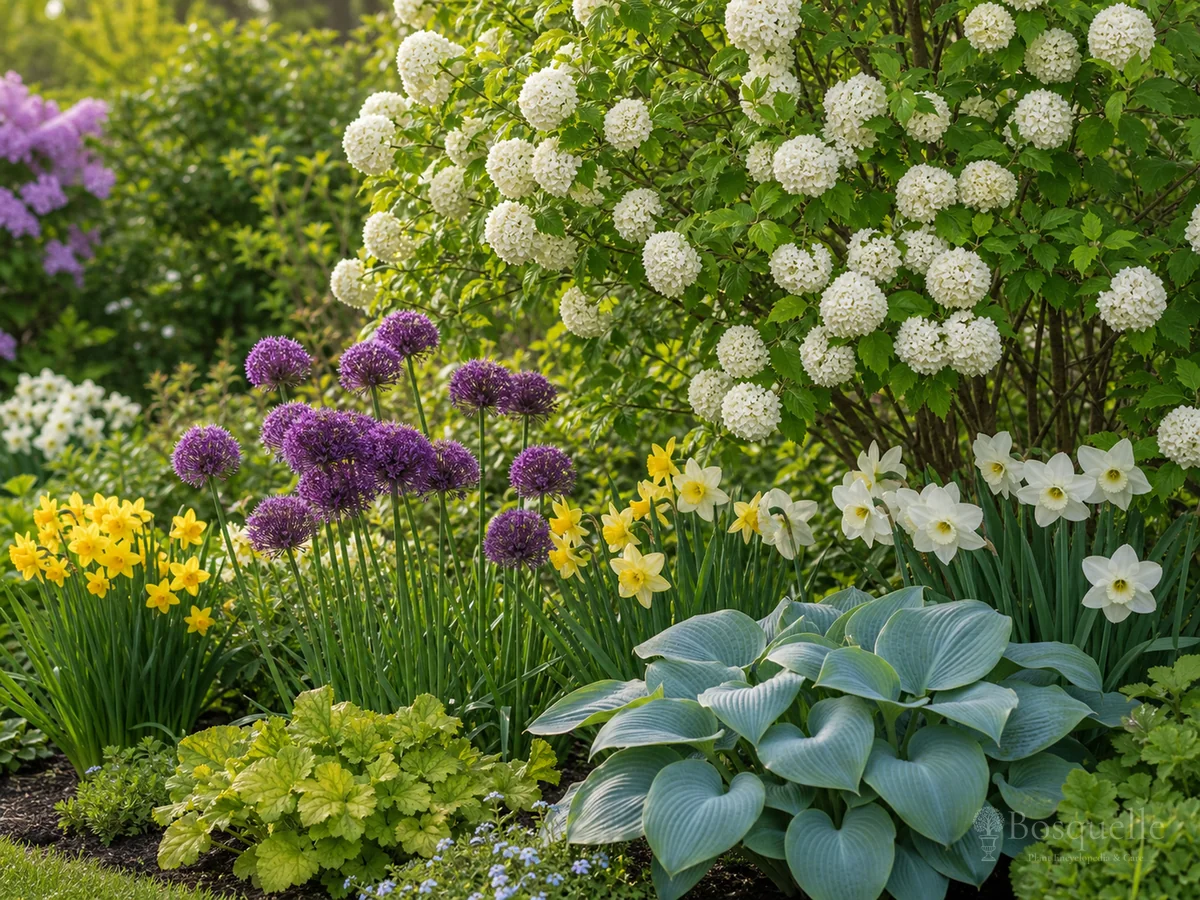 Viburnum Companion Plants — for Withe Rod